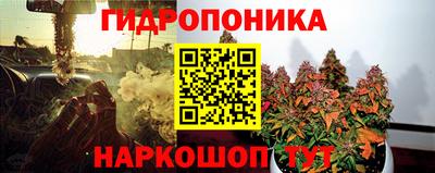 ECSTASY Чебоксары