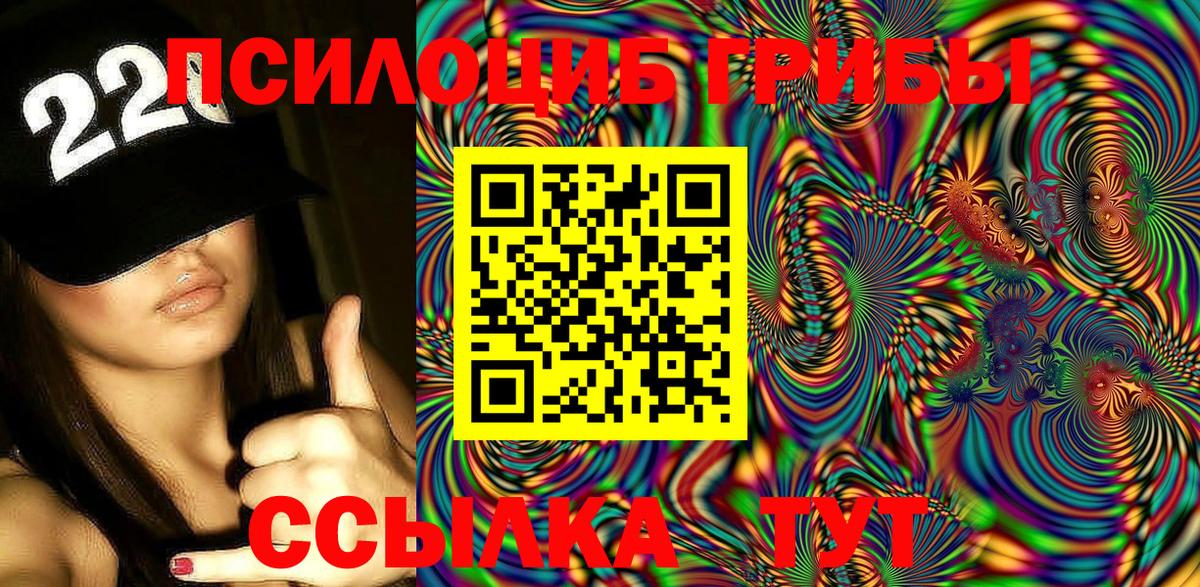 Галлюциногенные грибы GOLDEN TEACHER  Галлюциногенные грибы GOLDEN TEACHER  Бердск  Вход с VPN 