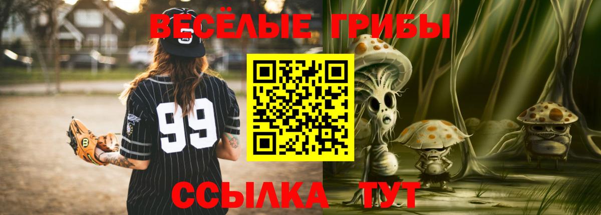 Галлюциногенные грибы мицелий Бердск